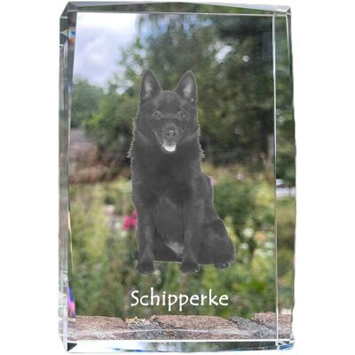 Schipperke - kryształ ze zdjęciem psa, zdjęcie w szkle, nowoczesna ekspozycja zdjęcia marki Art-Dog Schipperke - kryształ ze zdjęciem psa, zdjęcie w szkle, nowoczesna ekspozycja zdjęcia marki Art-Dog