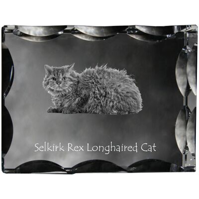 Selkirk Rex Kot długowłosy - kryształ ze zdjęciem kota, szklana statuetka ze zdjęciem, wyjątkowa ramka ze zdjęciem marki Art-Dog Selkirk Rex Kot długowłosy - kryształ ze zdjęciem kota, szklana statuetka ze zdjęciem, wyjątkowa ramka ze zdjęciem marki Art-Dog