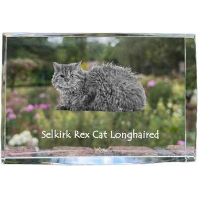 Selkirk Rex Kot długowłosy - kryształ ze zdjęciem kota, zdjęcie w szkle, nowoczesna ekspozycja zdjęcia marki Art-Dog Selkirk Rex Kot długowłosy - kryształ ze zdjęciem kota, zdjęcie w szkle, nowoczesna ekspozycja zdjęcia marki Art-Dog
