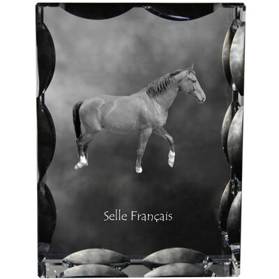Selle Francais - kryształ ze zdjęciem konia, szklana statuetka ze zdjęciem, wyjątkowa ramka ze zdjęciem marki Art-Dog Selle Francais - kryształ ze zdjęciem konia, szklana statuetka ze zdjęciem, wyjątkowa ramka ze zdjęciem marki Art-Dog