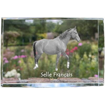 Selle Francais - kryształ ze zdjęciem konia, zdjęcie w szkle, nowoczesna ekspozycja zdjęcia marki Art-Dog Selle Francais - kryształ ze zdjęciem konia, zdjęcie w szkle, nowoczesna ekspozycja zdjęcia marki Art-Dog