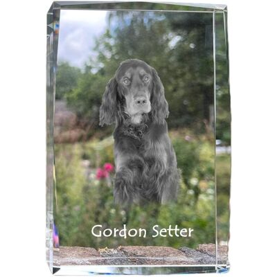 Seter szkocki, Gordon setter - kryształ ze zdjęciem psa, zdjęcie w szkle, nowoczesna ekspozycja zdjęcia marki Art-Dog Seter szkocki, Gordon setter - kryształ ze zdjęciem psa, zdjęcie w szkle, nowoczesna ekspozycja zdjęcia marki Art-Dog