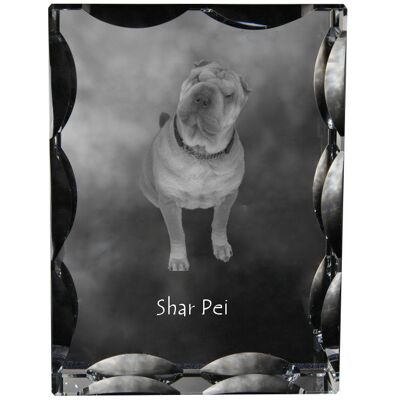 Shar Pei - kryształ ze zdjęciem psa, szklana statuetka ze zdjęciem, wyjątkowa ramka ze zdjęciem marki Art-Dog Shar Pei - kryształ ze zdjęciem psa, szklana statuetka ze zdjęciem, wyjątkowa ramka ze zdjęciem marki Art-Dog