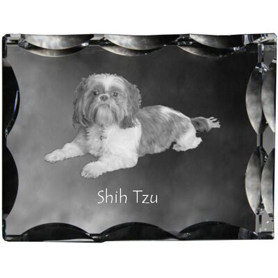 Shih Tzu, Shi tsu, Shi-Tzu, Szi-cu, Szitzu - kryształ ze zdjęciem psa, szklana statuetka ze zdjęciem, wyjątkowa ramka ze zdjęciem marki Art-Dog Shih Tzu, Shi tsu, Shi-Tzu, Szi-cu, Szitzu - kryształ ze zdjęciem psa, szklana statuetka ze zdjęciem, wyjątkowa ramka ze zdjęciem marki Art-Dog