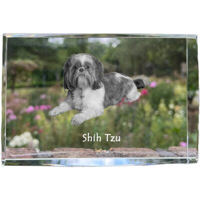 Shih Tzu, Shi tsu, Shi-Tzu, Szi-cu, Szitzu - kryształ ze zdjęciem psa, zdjęcie w szkle, nowoczesna ekspozycja zdjęcia marki Art-Dog Shih Tzu, Shi tsu, Shi-Tzu, Szi-cu, Szitzu - kryształ ze zdjęciem psa, zdjęcie w szkle, nowoczesna ekspozycja zdjęcia marki Art-Dog