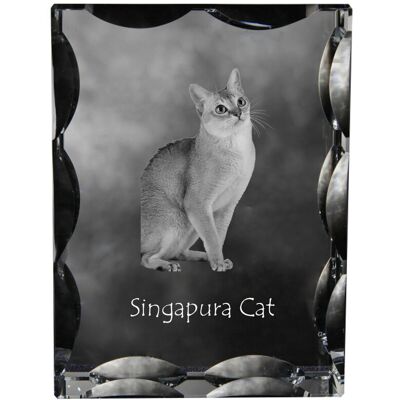 Singapura - kryształ ze zdjęciem kota, szklana statuetka ze zdjęciem, wyjątkowa ramka ze zdjęciem marki Art-Dog Singapura - kryształ ze zdjęciem kota, szklana statuetka ze zdjęciem, wyjątkowa ramka ze zdjęciem marki Art-Dog
