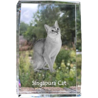Singapura - kryształ ze zdjęciem kota, zdjęcie w szkle, nowoczesna ekspozycja zdjęcia marki Art-Dog Singapura - kryształ ze zdjęciem kota, zdjęcie w szkle, nowoczesna ekspozycja zdjęcia marki Art-Dog