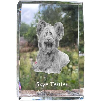 Skye Terrier - kryształ ze zdjęciem psa, zdjęcie w szkle, nowoczesna ekspozycja zdjęcia marki Art-Dog Skye Terrier - kryształ ze zdjęciem psa, zdjęcie w szkle, nowoczesna ekspozycja zdjęcia marki Art-Dog
