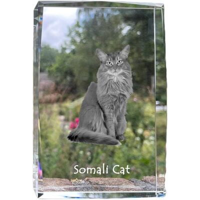 Somali - kryształ ze zdjęciem kota, zdjęcie w szkle, nowoczesna ekspozycja zdjęcia marki Art-Dog Somali - kryształ ze zdjęciem kota, zdjęcie w szkle, nowoczesna ekspozycja zdjęcia marki Art-Dog