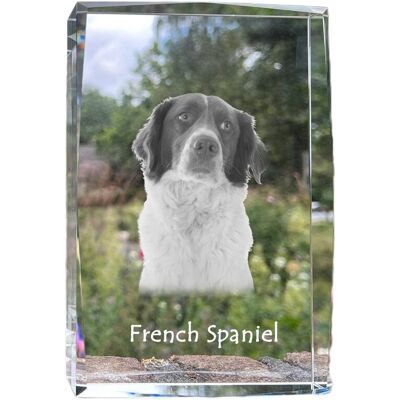 Spaniel francuski, French Spaniel - kryształ ze zdjęciem psa, zdjęcie w szkle, nowoczesna ekspozycja zdjęcia marki Art-Dog Spaniel francuski, French Spaniel - kryształ ze zdjęciem psa, zdjęcie w szkle, nowoczesna ekspozycja zdjęcia marki Art-Dog