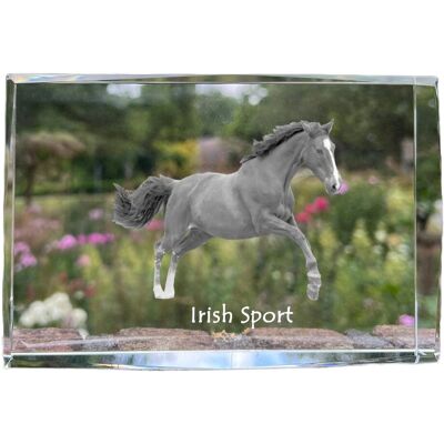 Sport irlandzki - kryształ ze zdjęciem konia, zdjęcie w szkle, nowoczesna ekspozycja zdjęcia marki Art-Dog Sport irlandzki - kryształ ze zdjęciem konia, zdjęcie w szkle, nowoczesna ekspozycja zdjęcia marki Art-Dog