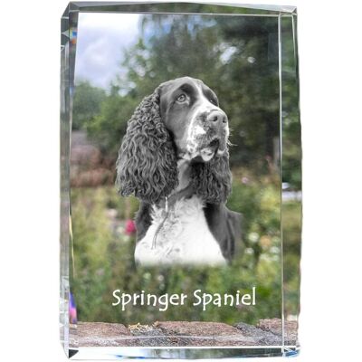 Springer spaniel angielski - kryształ ze zdjęciem psa, zdjęcie w szkle, nowoczesna ekspozycja zdjęcia marki Art-Dog Springer spaniel angielski - kryształ ze zdjęciem psa, zdjęcie w szkle, nowoczesna ekspozycja zdjęcia marki Art-Dog
