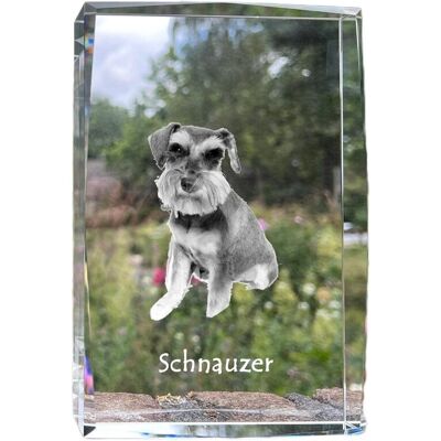 Sznaucer, Schnauzer I - kryształ ze zdjęciem psa, zdjęcie w szkle, nowoczesna ekspozycja zdjęcia marki Art-Dog Sznaucer, Schnauzer I - kryształ ze zdjęciem psa, zdjęcie w szkle, nowoczesna ekspozycja zdjęcia marki Art-Dog