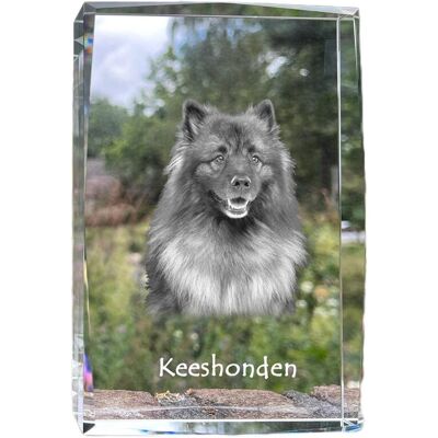 Szpic wilczy, Keeshond - kryształ ze zdjęciem psa, zdjęcie w szkle, nowoczesna ekspozycja zdjęcia marki Art-Dog Szpic wilczy, Keeshond - kryształ ze zdjęciem psa, zdjęcie w szkle, nowoczesna ekspozycja zdjęcia marki Art-Dog