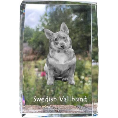 Szwedzki Vallhund, Szwedzki szpic owczarski - kryształ ze zdjęciem psa, zdjęcie w szkle, nowoczesna ekspozycja zdjęcia marki Art-Dog Szwedzki Vallhund, Szwedzki szpic owczarski - kryształ ze zdjęciem psa, zdjęcie w szkle, nowoczesna ekspozycja zdjęcia marki Art-Dog
