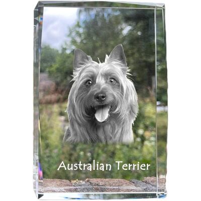 Terier australijski, Aussie - kryształ ze zdjęciem psa, zdjęcie w szkle, nowoczesna ekspozycja zdjęcia marki Art-Dog Terier australijski, Aussie - kryształ ze zdjęciem psa, zdjęcie w szkle, nowoczesna ekspozycja zdjęcia marki Art-Dog