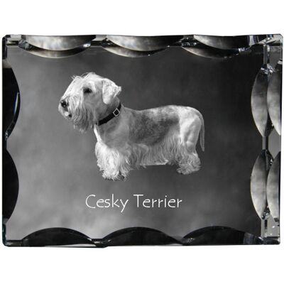 Terier czeski, Cesky Terrier - kryształ ze zdjęciem psa, szklana statuetka ze zdjęciem, wyjątkowa ramka ze zdjęciem marki Art-Dog Terier czeski, Cesky Terrier - kryształ ze zdjęciem psa, szklana statuetka ze zdjęciem, wyjątkowa ramka ze zdjęciem marki Art-Dog