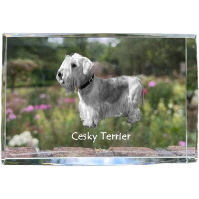Terier czeski, Cesky Terrier - kryształ ze zdjęciem psa, zdjęcie w szkle, nowoczesna ekspozycja zdjęcia marki Art-Dog Terier czeski, Cesky Terrier - kryształ ze zdjęciem psa, zdjęcie w szkle, nowoczesna ekspozycja zdjęcia marki Art-Dog