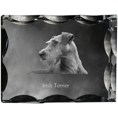 Terier irlandzki, Irish Red Terrier - kryształ ze zdjęciem psa, szklana statuetka ze zdjęciem, wyjątkowa ramka ze zdjęciem marki Art-Dog Terier irlandzki, Irish Red Terrier - kryształ ze zdjęciem psa, szklana statuetka ze zdjęciem, wyjątkowa ramka ze zdjęciem marki Art-Dog