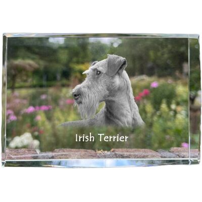 Terier irlandzki, Irish Red Terrier - kryształ ze zdjęciem psa, zdjęcie w szkle, nowoczesna ekspozycja zdjęcia marki Art-Dog Terier irlandzki, Irish Red Terrier - kryształ ze zdjęciem psa, zdjęcie w szkle, nowoczesna ekspozycja zdjęcia marki Art-Dog