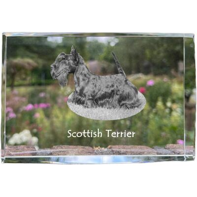 Terier szkocki, Aberdeen Terrier - kryształ ze zdjęciem psa, zdjęcie w szkle, nowoczesna ekspozycja zdjęcia marki Art-Dog Terier szkocki, Aberdeen Terrier - kryształ ze zdjęciem psa, zdjęcie w szkle, nowoczesna ekspozycja zdjęcia marki Art-Dog