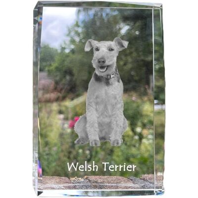 Terier walijski, Welsh Terrier - kryształ ze zdjęciem psa, zdjęcie w szkle, nowoczesna ekspozycja zdjęcia marki Art-Dog Terier walijski, Welsh Terrier - kryształ ze zdjęciem psa, zdjęcie w szkle, nowoczesna ekspozycja zdjęcia marki Art-Dog