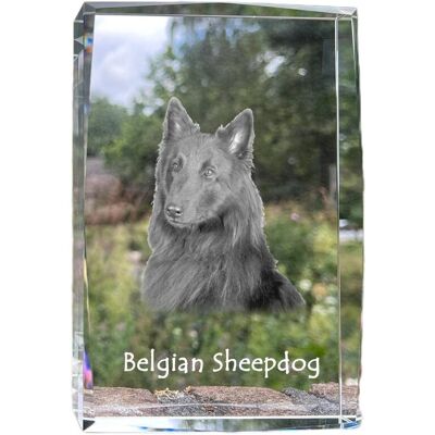 Tervueren Owczarek belgijski - kryształ ze zdjęciem psa, zdjęcie w szkle, nowoczesna ekspozycja zdjęcia marki Art-Dog Tervueren Owczarek belgijski - kryształ ze zdjęciem psa, zdjęcie w szkle, nowoczesna ekspozycja zdjęcia marki Art-Dog