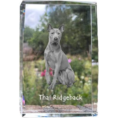 Thai Ridgeback - kryształ ze zdjęciem psa, zdjęcie w szkle, nowoczesna ekspozycja zdjęcia marki Art-Dog Thai Ridgeback - kryształ ze zdjęciem psa, zdjęcie w szkle, nowoczesna ekspozycja zdjęcia marki Art-Dog
