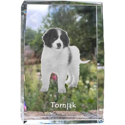 Tornjak, Bośniacko-chorwacki pies pasterski - kryształ ze zdjęciem psa, zdjęcie w szkle, nowoczesna ekspozycja zdjęcia marki Art-Dog Tornjak, Bośniacko-chorwacki pies pasterski - kryształ ze zdjęciem psa, zdjęcie w szkle, nowoczesna ekspozycja zdjęcia marki Art-Dog