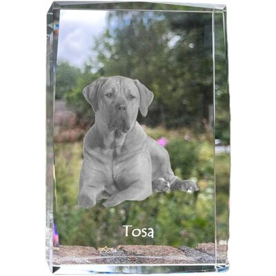 Tosa Inu, Tosa-inu, Mastif japoński - kryształ ze zdjęciem psa, zdjęcie w szkle, nowoczesna ekspozycja zdjęcia marki Art-Dog Tosa Inu, Tosa-inu, Mastif japoński - kryształ ze zdjęciem psa, zdjęcie w szkle, nowoczesna ekspozycja zdjęcia marki Art-Dog