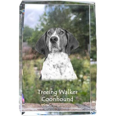 Treeing Walker Coonhound - kryształ ze zdjęciem psa, zdjęcie w szkle, nowoczesna ekspozycja zdjęcia marki Art-Dog Treeing Walker Coonhound - kryształ ze zdjęciem psa, zdjęcie w szkle, nowoczesna ekspozycja zdjęcia marki Art-Dog