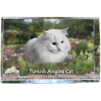 Turecka angora - kryształ ze zdjęciem kota, zdjęcie w szkle, nowoczesna ekspozycja zdjęcia marki Art-Dog Turecka angora - kryształ ze zdjęciem kota, zdjęcie w szkle, nowoczesna ekspozycja zdjęcia marki Art-Dog