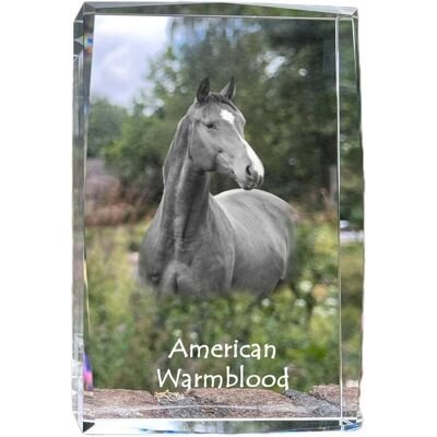 Warmblood amerykański - kryształ ze zdjęciem konia, zdjęcie w szkle, nowoczesna ekspozycja zdjęcia marki Art-Dog Warmblood amerykański - kryształ ze zdjęciem konia, zdjęcie w szkle, nowoczesna ekspozycja zdjęcia marki Art-Dog