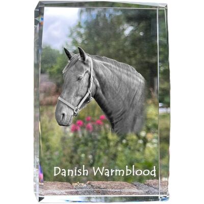 Warmblood duński - kryształ ze zdjęciem konia, zdjęcie w szkle, nowoczesna ekspozycja zdjęcia marki Art-Dog Warmblood duński - kryształ ze zdjęciem konia, zdjęcie w szkle, nowoczesna ekspozycja zdjęcia marki Art-Dog