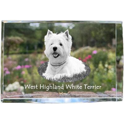 West Highland White Terrier, Westie - kryształ ze zdjęciem psa, zdjęcie w szkle, nowoczesna ekspozycja zdjęcia marki Art-Dog West Highland White Terrier, Westie - kryształ ze zdjęciem psa, zdjęcie w szkle, nowoczesna ekspozycja zdjęcia marki Art-Dog