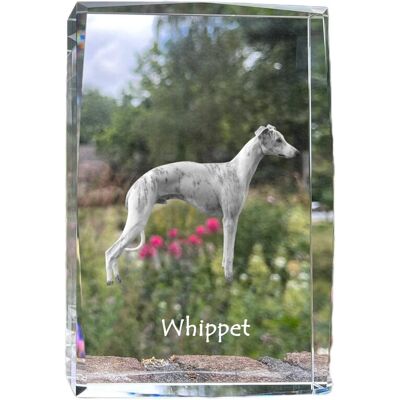 Whippet, Chart angielski - kryształ ze zdjęciem psa, zdjęcie w szkle, nowoczesna ekspozycja zdjęcia marki Art-Dog Whippet, Chart angielski - kryształ ze zdjęciem psa, zdjęcie w szkle, nowoczesna ekspozycja zdjęcia marki Art-Dog