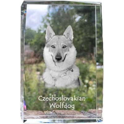 Wilczak czechosłowacki, Wilczur czechosłowacki - kryształ ze zdjęciem psa, zdjęcie w szkle, nowoczesna ekspozycja zdjęcia marki Art-Dog Wilczak czechosłowacki, Wilczur czechosłowacki - kryształ ze zdjęciem psa, zdjęcie w szkle, nowoczesna ekspozycja zdjęcia marki Art-Dog
