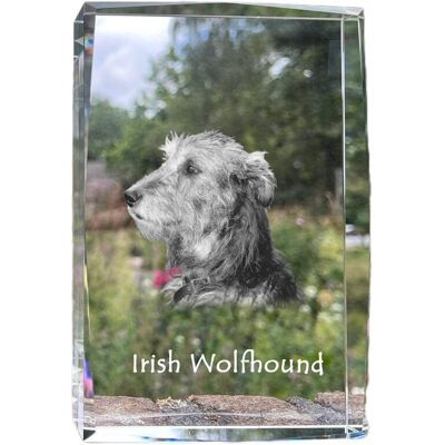 Wilczarz irlandzki, Irish wolfhound - kryształ ze zdjęciem psa, zdjęcie w szkle, nowoczesna ekspozycja zdjęcia marki Art-Dog Wilczarz irlandzki, Irish wolfhound - kryształ ze zdjęciem psa, zdjęcie w szkle, nowoczesna ekspozycja zdjęcia marki Art-Dog