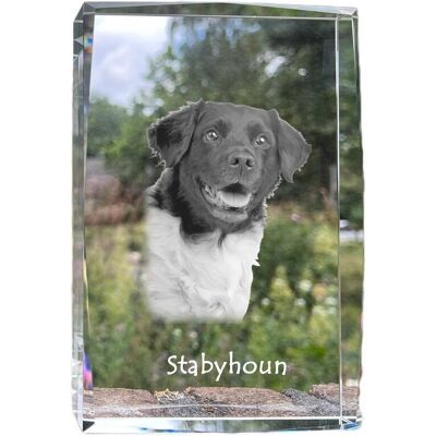 Wyżeł fryzyjski, Stabyhoun - kryształ ze zdjęciem psa, zdjęcie w szkle, nowoczesna ekspozycja zdjęcia marki Art-Dog Wyżeł fryzyjski, Stabyhoun - kryształ ze zdjęciem psa, zdjęcie w szkle, nowoczesna ekspozycja zdjęcia marki Art-Dog