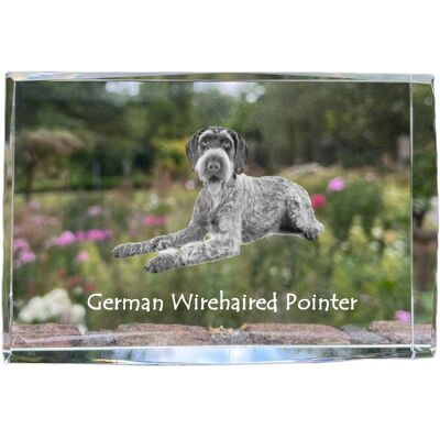 Wyżeł niemiecki szorstkowłosy, Drahthaar - kryształ ze zdjęciem psa, zdjęcie w szkle, nowoczesna ekspozycja zdjęcia marki Art-Dog Wyżeł niemiecki szorstkowłosy, Drahthaar - kryształ ze zdjęciem psa, zdjęcie w szkle, nowoczesna ekspozycja zdjęcia marki Art-Dog
