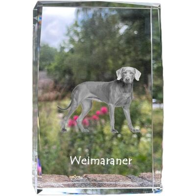 Wyżeł weimarski, Weimaraner - kryształ ze zdjęciem psa, zdjęcie w szkle, nowoczesna ekspozycja zdjęcia marki Art-Dog Wyżeł weimarski, Weimaraner - kryształ ze zdjęciem psa, zdjęcie w szkle, nowoczesna ekspozycja zdjęcia marki Art-Dog