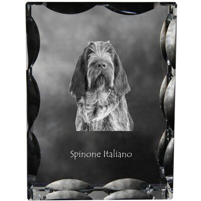 Wyżeł włoski szorstkowłosy, Spinone italiano - kryształ ze zdjęciem psa, szklana statuetka ze zdjęciem, wyjątkowa ramka ze zdjęciem marki Art-Dog Wyżeł włoski szorstkowłosy, Spinone italiano - kryształ ze zdjęciem psa, szklana statuetka ze zdjęciem, wyjątkowa ramka ze zdjęciem marki Art-Dog