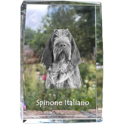 Wyżeł włoski szorstkowłosy, Spinone italiano - kryształ ze zdjęciem psa, zdjęcie w szkle, nowoczesna ekspozycja zdjęcia marki Art-Dog Wyżeł włoski szorstkowłosy, Spinone italiano - kryształ ze zdjęciem psa, zdjęcie w szkle, nowoczesna ekspozycja zdjęcia marki Art-Dog