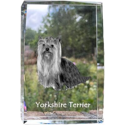 Yorkshire Terrier, York, Jork, Yorkie - kryształ ze zdjęciem psa, zdjęcie w szkle, nowoczesna ekspozycja zdjęcia marki Art-Dog Yorkshire Terrier, York, Jork, Yorkie - kryształ ze zdjęciem psa, zdjęcie w szkle, nowoczesna ekspozycja zdjęcia marki Art-Dog