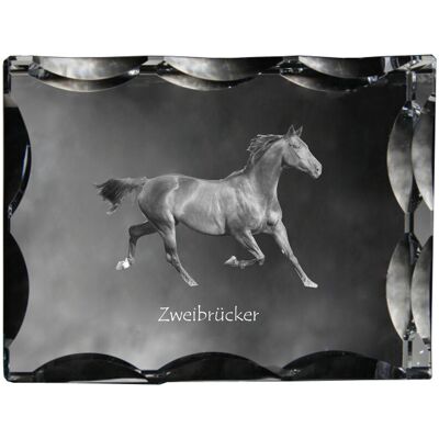 Zweibrücker - kryształ ze zdjęciem konia, szklana statuetka ze zdjęciem, wyjątkowa ramka ze zdjęciem marki Art-Dog Zweibrücker - kryształ ze zdjęciem konia, szklana statuetka ze zdjęciem, wyjątkowa ramka ze zdjęciem marki Art-Dog