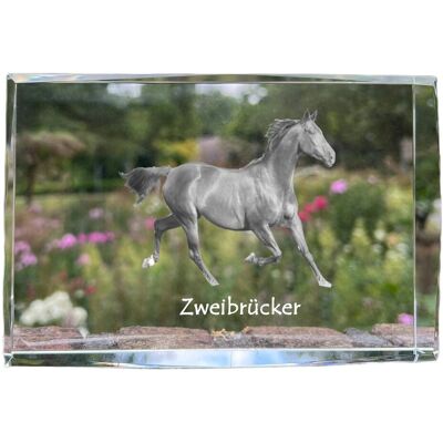 Zweibrücker - kryształ ze zdjęciem konia, zdjęcie w szkle, nowoczesna ekspozycja zdjęcia marki Art-Dog Zweibrücker - kryształ ze zdjęciem konia, zdjęcie w szkle, nowoczesna ekspozycja zdjęcia marki Art-Dog