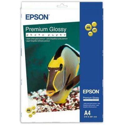 Epson C13S042169 Złoty Papier Fotograficzny - Papier Fotograficzny Epson C13S042169 Złoty Papier Fotograficzny - Papier Fotograficzny