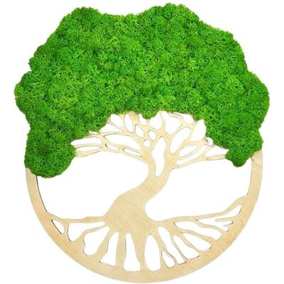 AVLES Obraz z mchu Drzewko Życia Mech Chrobotek Jabłkowa zieleń Drewno naturalne AVLES Obraz z mchu Drzewko Życia Mech Chrobotek Jabłkowa zieleń Drewno naturalne