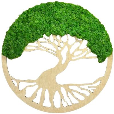 AVLES Obraz z mchu Drzewo Mech Chrobotek Jabłkowa zieleń Drewno naturalne AVLES Obraz z mchu Drzewo Mech Chrobotek Jabłkowa zieleń Drewno naturalne
