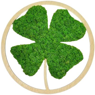 AVLES Obraz z mchu Koniczyna Mech Chrobotek Jabłkowa zieleń Drewno naturalne AVLES Obraz z mchu Koniczyna Mech Chrobotek Jabłkowa zieleń Drewno naturalne